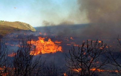 Μεγάλη πυρκαγιά στη Ζάκυνθο στο χωριό Αναφωνήτρια