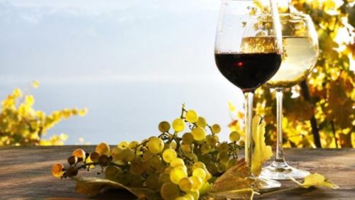 προβολή του ελληνικού κρασιού στις αγορές του εξωτερικού