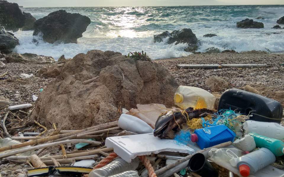 Φωτογραφία από νεκρό δελφίνι ανάμεσα σε σκουπίδια που παραχώρησε το «Αρχιπέλαγος»